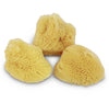 Sea Silk Cosmetic Sponge